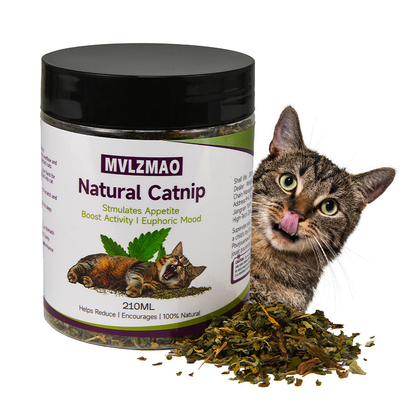 Katzenspielzeug – Silvervine-K – Herbal Wellness Products Bewertung und Preis