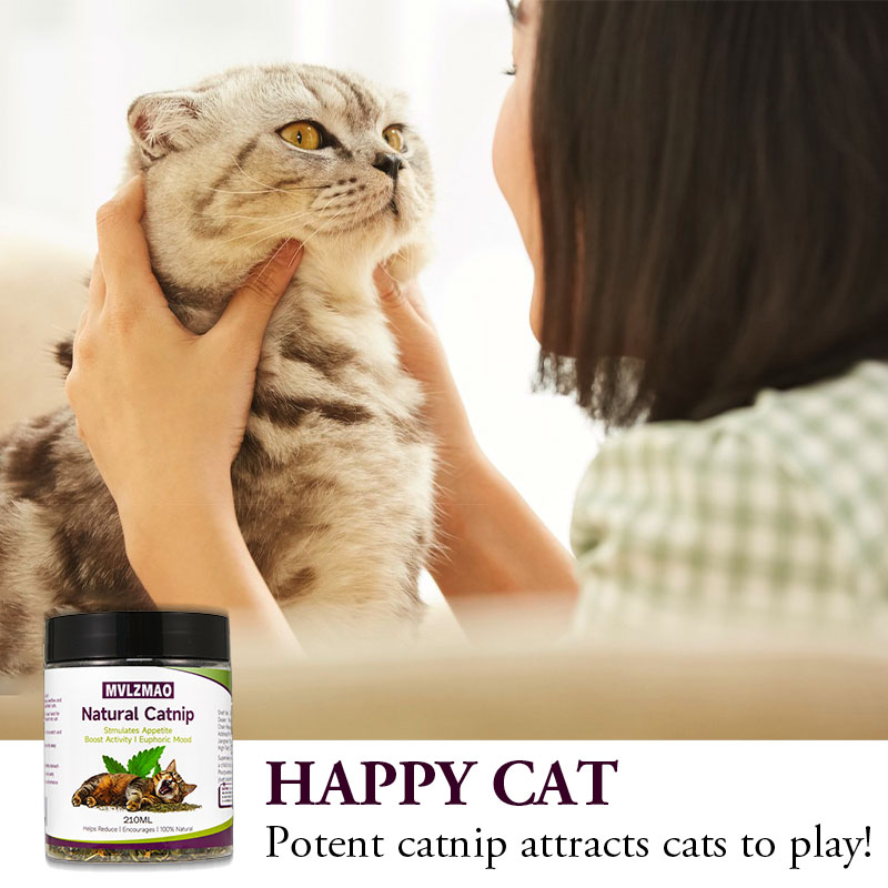 Katzenspielzeug – Silvervine-K – Herbal Wellness Products Bewertung und Preis